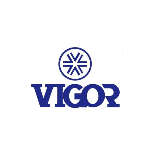 BALANCEADOS VIGOR SRL